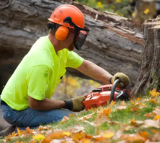 tree services Snow Hill